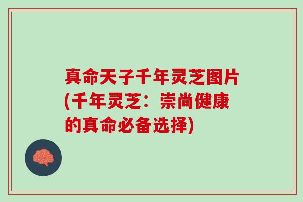 真命天子千年灵芝图片(千年灵芝：崇尚健康的真命必备选择)