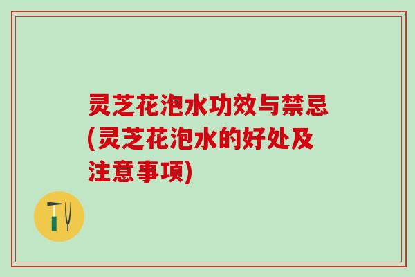 灵芝花泡水功效与禁忌(灵芝花泡水的好处及注意事项)