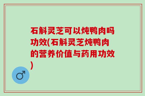石斛灵芝可以炖鸭肉吗功效(石斛灵芝炖鸭肉的营养价值与药用功效)