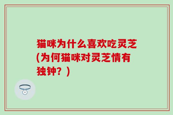 猫咪为什么喜欢吃灵芝(为何猫咪对灵芝情有独钟？)