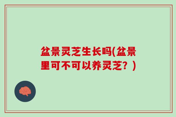 盆景灵芝生长吗(盆景里可不可以养灵芝？)