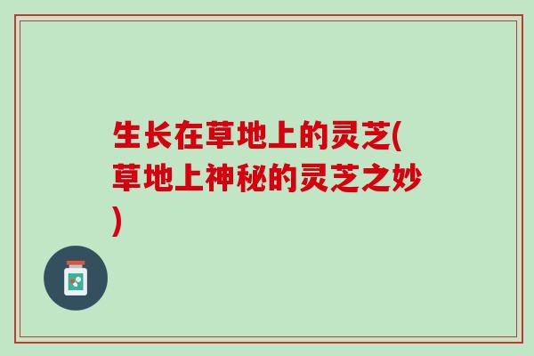 生长在草地上的灵芝(草地上神秘的灵芝之妙)