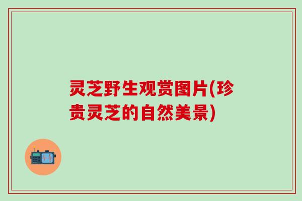 灵芝野生观赏图片(珍贵灵芝的自然美景)