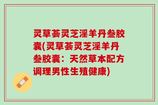 灵草荟灵芝淫羊丹叁胶囊(灵草荟灵芝淫羊丹叁胶囊：天然草本配方调理男性生殖健康)