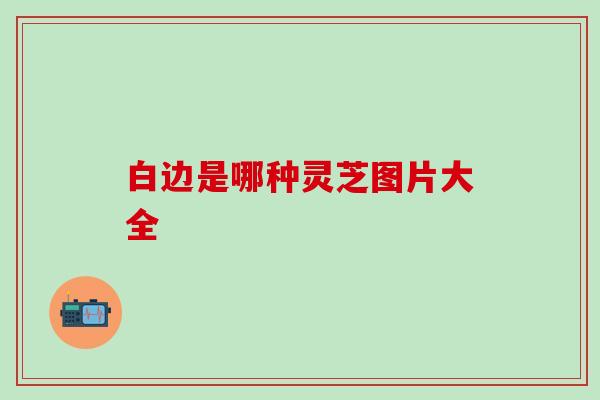 白边是哪种灵芝图片大全