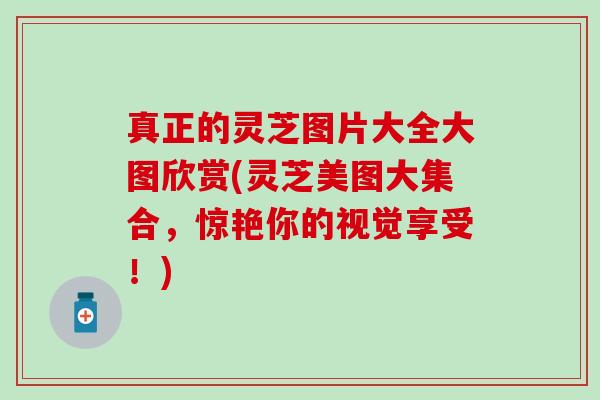 真正的灵芝图片大全大图欣赏(灵芝美图大集合，惊艳你的视觉享受！)