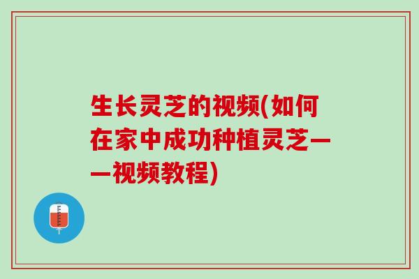 生长灵芝的视频(如何在家中成功种植灵芝——视频教程)