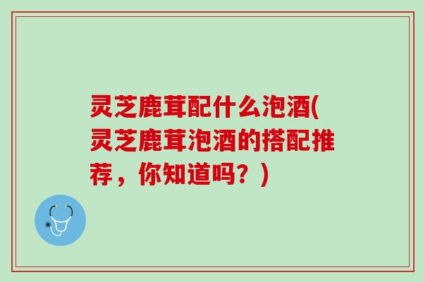 灵芝鹿茸配什么泡酒(灵芝鹿茸泡酒的搭配推荐，你知道吗？)
