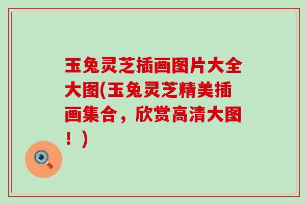 玉兔灵芝插画图片大全大图(玉兔灵芝精美插画集合，欣赏高清大图！)