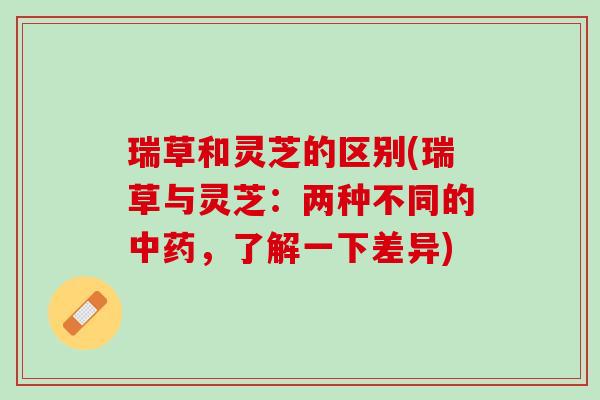 瑞草和灵芝的区别(瑞草与灵芝：两种不同的中药，了解一下差异)