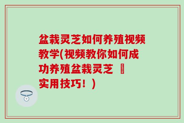 盆栽灵芝如何养殖视频教学(视频教你如何成功养殖盆栽灵芝 – 实用技巧！)