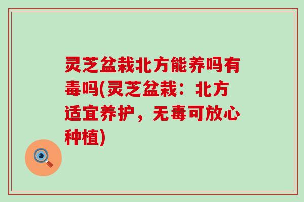 灵芝盆栽北方能养吗有毒吗(灵芝盆栽：北方适宜养护，无毒可放心种植)