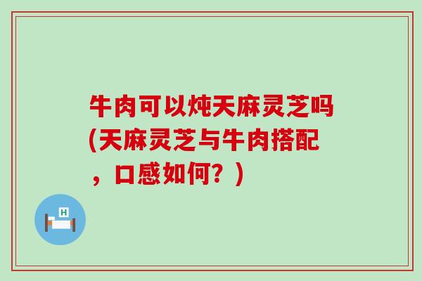 牛肉可以炖天麻灵芝吗(天麻灵芝与牛肉搭配，口感如何？)