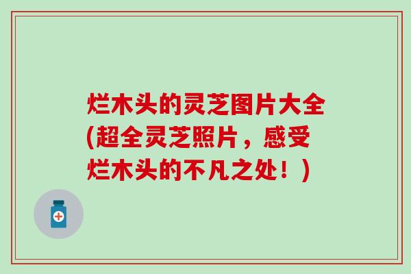 烂木头的灵芝图片大全(超全灵芝照片，感受烂木头的不凡之处！)