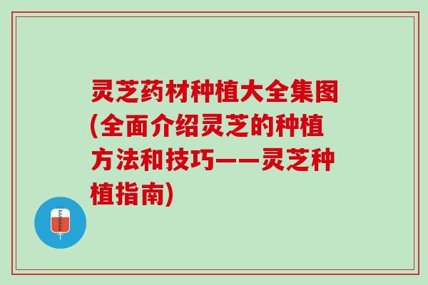 灵芝药材种植大全集图(全面介绍灵芝的种植方法和技巧——灵芝种植指南)