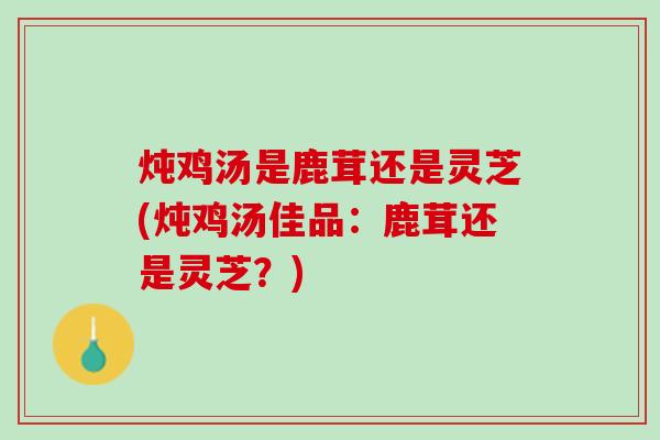 炖鸡汤是鹿茸还是灵芝(炖鸡汤佳品：鹿茸还是灵芝？)