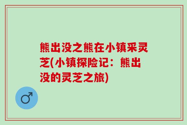 熊出没之熊在小镇采灵芝(小镇探险记：熊出没的灵芝之旅)