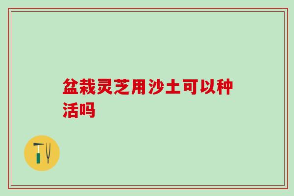 盆栽灵芝用沙土可以种活吗