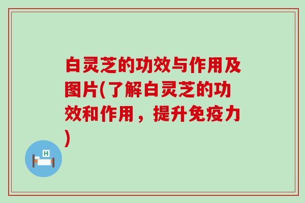 白灵芝的功效与作用及图片(了解白灵芝的功效和作用，提升免疫力)