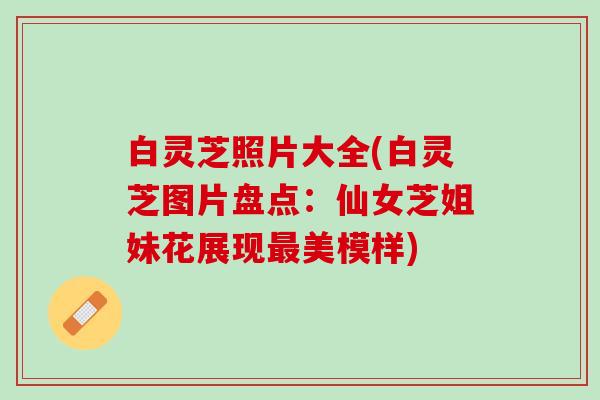 白灵芝照片大全(白灵芝图片盘点：仙女芝姐妹花展现最美模样)