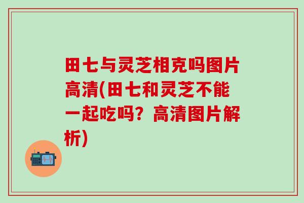 田七与灵芝相克吗图片高清(田七和灵芝不能一起吃吗？高清图片解析)