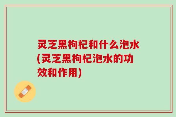 灵芝黑枸杞和什么泡水(灵芝黑枸杞泡水的功效和作用)