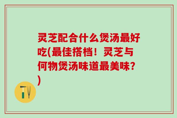 灵芝配合什么煲汤最好吃(最佳搭档！灵芝与何物煲汤味道最美味？)