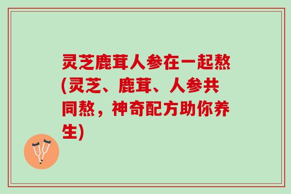 灵芝鹿茸人参在一起熬(灵芝、鹿茸、人参共同熬，神奇配方助你养生)