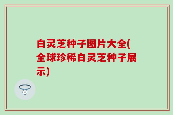 白灵芝种子图片大全(全球珍稀白灵芝种子展示)
