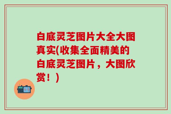 白底灵芝图片大全大图真实(收集全面精美的白底灵芝图片，大图欣赏！)