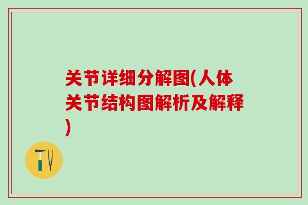 关节详细分解图(人体关节结构图解析及解释)