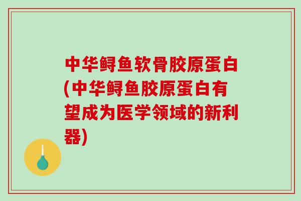 中华鲟鱼软骨胶原蛋白(中华鲟鱼胶原蛋白有望成为医学领域的新利器)