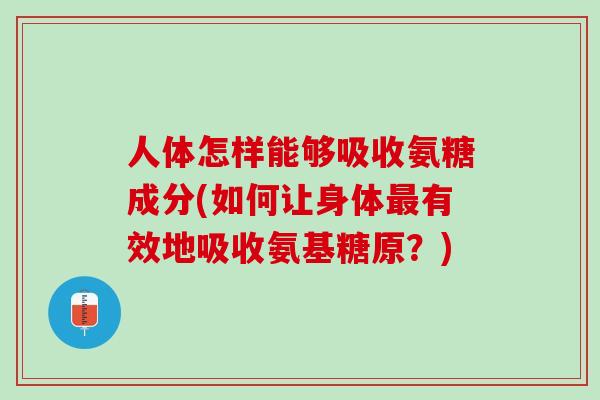 人体怎样能够吸收氨糖成分(如何让身体最有效地吸收氨基糖原？)
