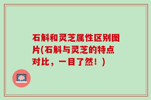 石斛和灵芝属性区别图片(石斛与灵芝的特点对比，一目了然！)