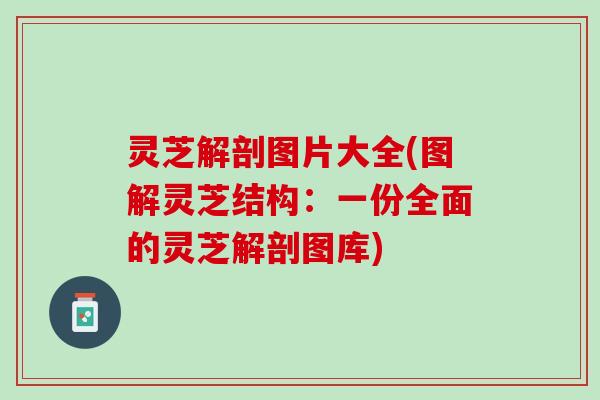 灵芝解剖图片大全(图解灵芝结构：一份全面的灵芝解剖图库)