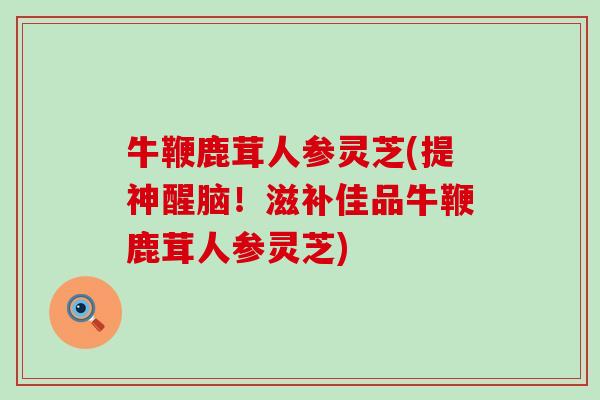 牛鞭鹿茸人参灵芝(提神醒脑！滋补佳品牛鞭鹿茸人参灵芝)