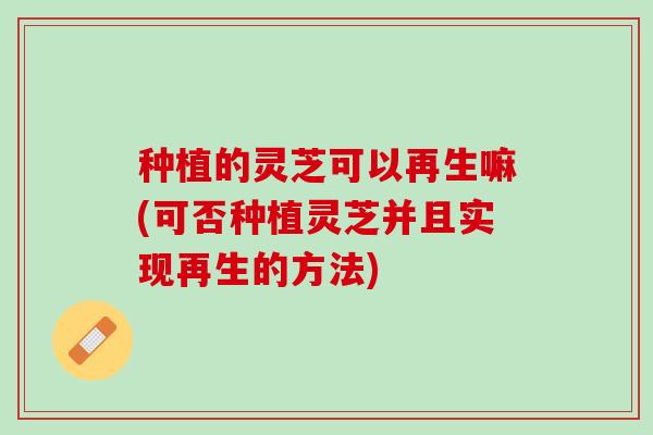 种植的灵芝可以再生嘛(可否种植灵芝并且实现再生的方法) 种植的灵芝可以再生嘛(可否种植灵芝并且实现再生的方法)