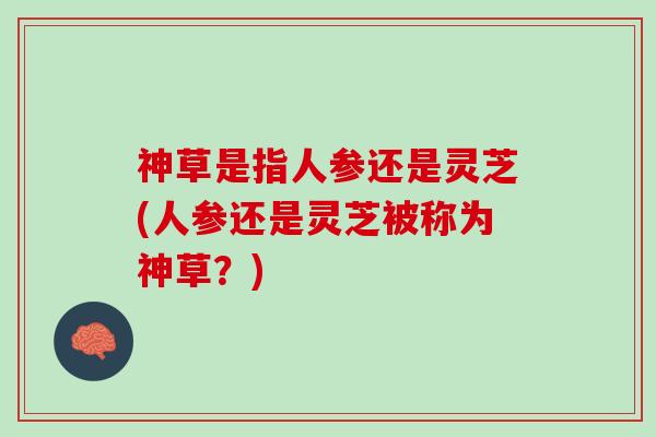 神草是指人参还是灵芝(人参还是灵芝被称为神草？)