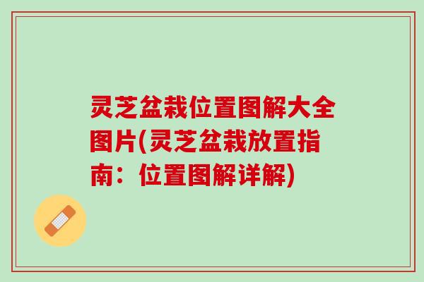 灵芝盆栽位置图解大全图片(灵芝盆栽放置指南：位置图解详解)