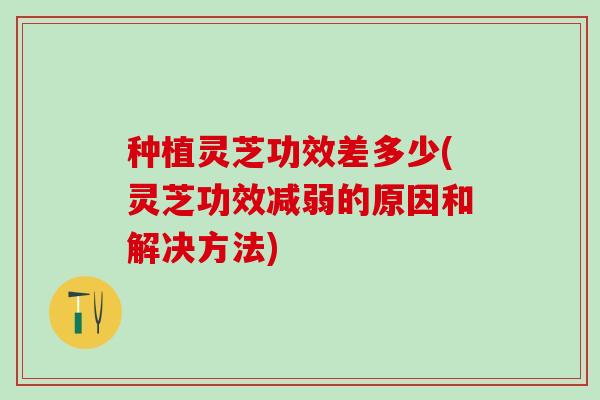 种植灵芝功效差多少(灵芝功效减弱的原因和解决方法)