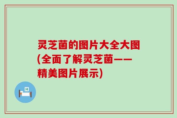 灵芝菌的图片大全大图(全面了解灵芝菌——精美图片展示)