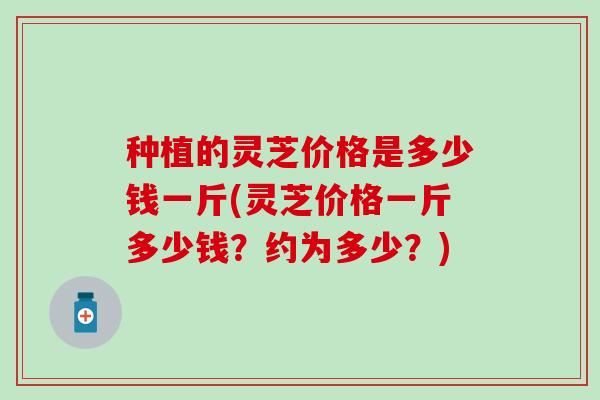 种植的灵芝价格是多少钱一斤(灵芝价格一斤多少钱？约为多少？)