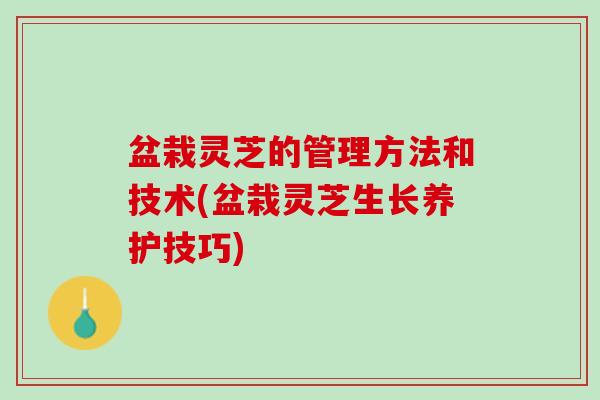 盆栽灵芝的管理方法和技术(盆栽灵芝生长养护技巧)