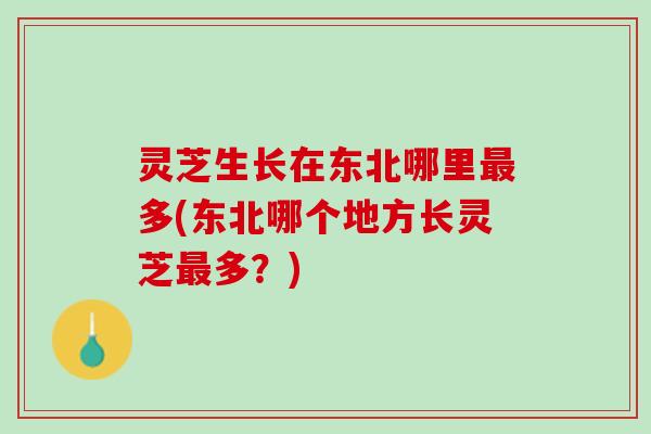 灵芝生长在东北哪里最多(东北哪个地方长灵芝最多？)