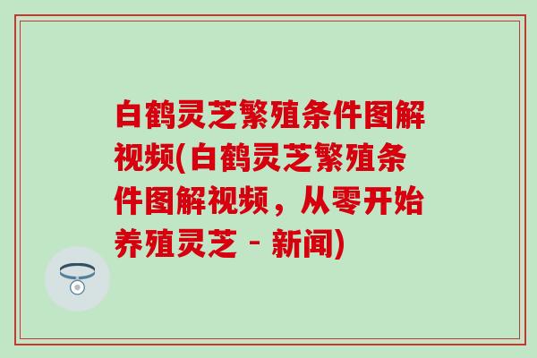 白鹤灵芝繁殖条件图解视频(白鹤灵芝繁殖条件图解视频，从零开始养殖灵芝 - 新闻)