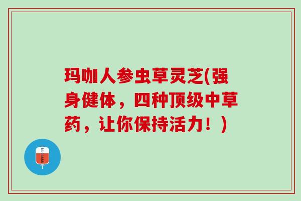 玛咖人参虫草灵芝(强身健体，四种顶级中草药，让你保持活力！)