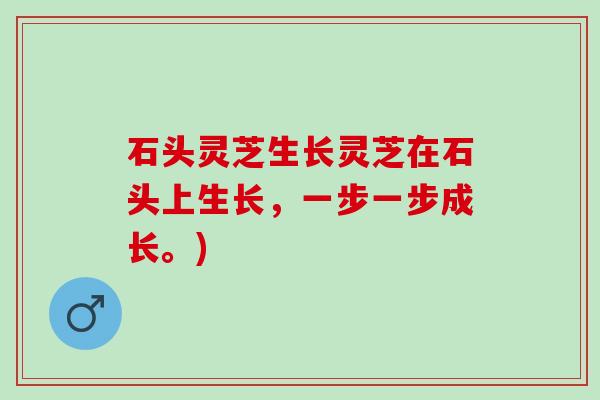 石头灵芝生长灵芝在石头上生长，一步一步成长。)