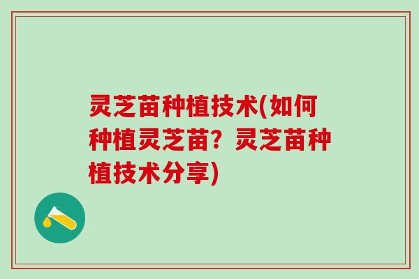 灵芝苗种植技术(如何种植灵芝苗？灵芝苗种植技术分享)
