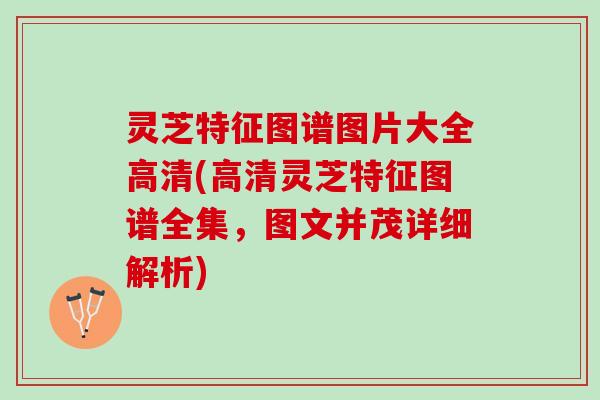灵芝特征图谱图片大全高清(高清灵芝特征图谱全集，图文并茂详细解析)
