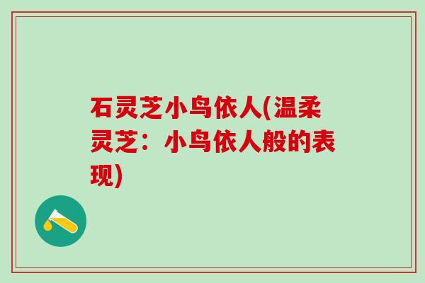石灵芝小鸟依人(温柔灵芝：小鸟依人般的表现)